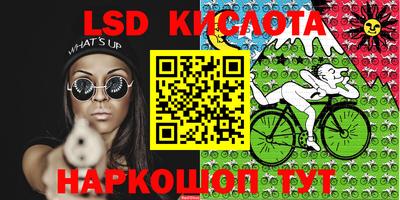 прущие крисы Можга